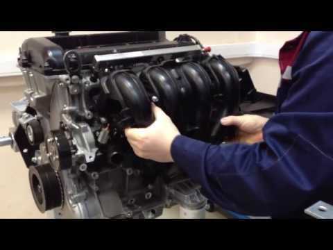 Как разобрать двигатель на Ford Focus 1,8